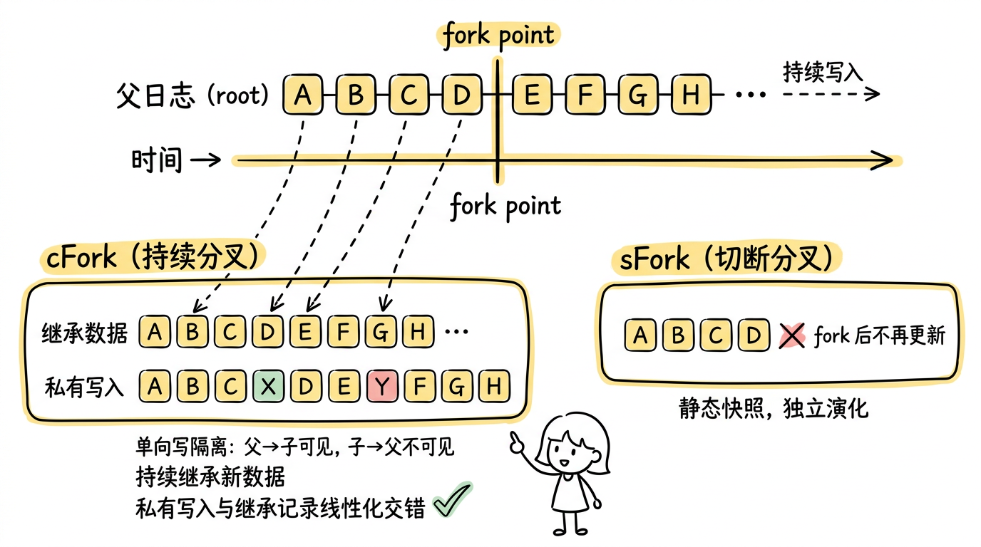 cFork vs sFork 对比